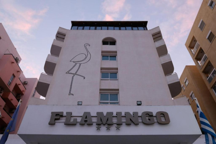 flamingo-beach-7c7245289b9719f2.jpeg